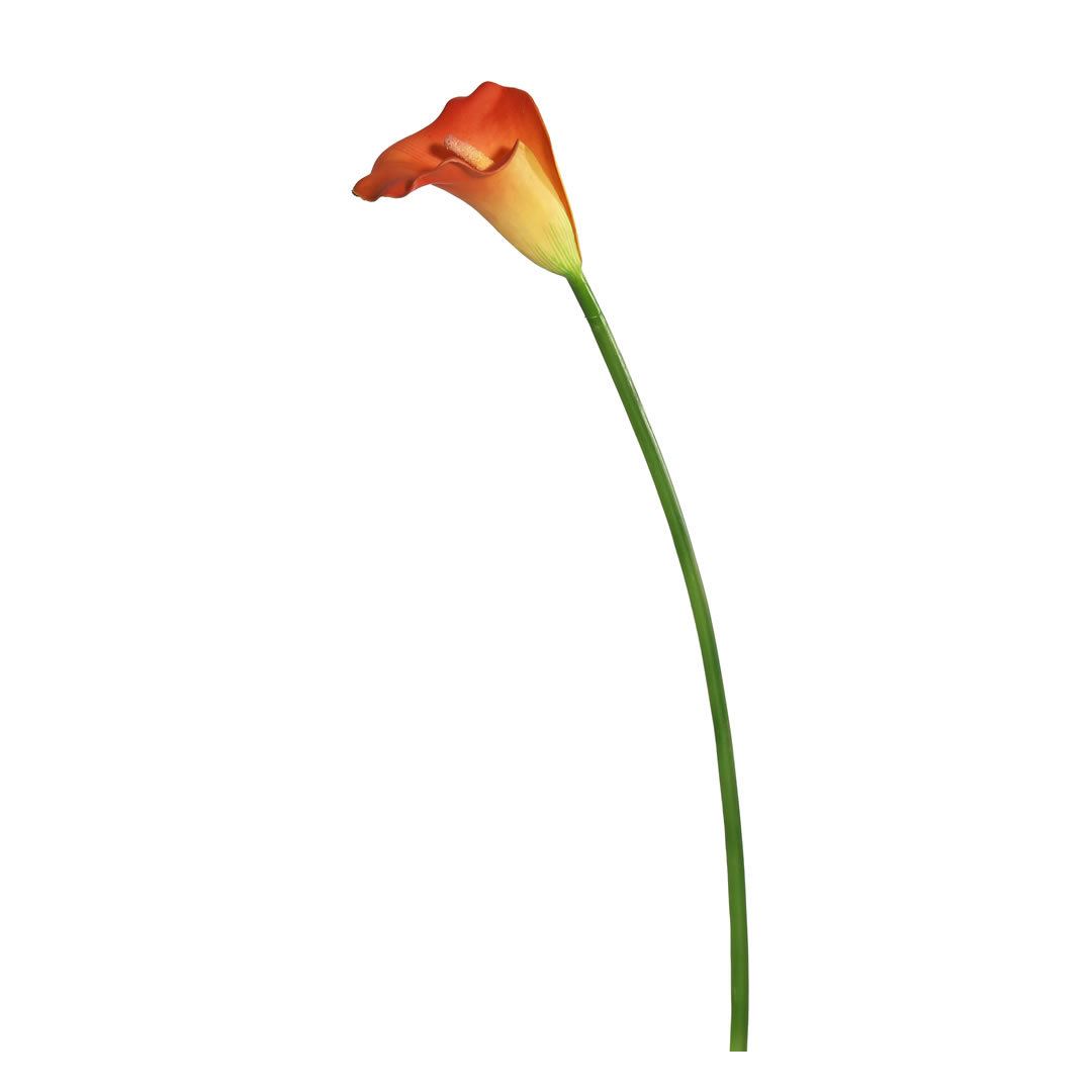 Cauldwell 26" Artificial Calla Lily Stem